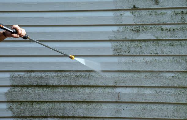 Best Sidewalk Pressure Washing  in Mcgraw, NY
